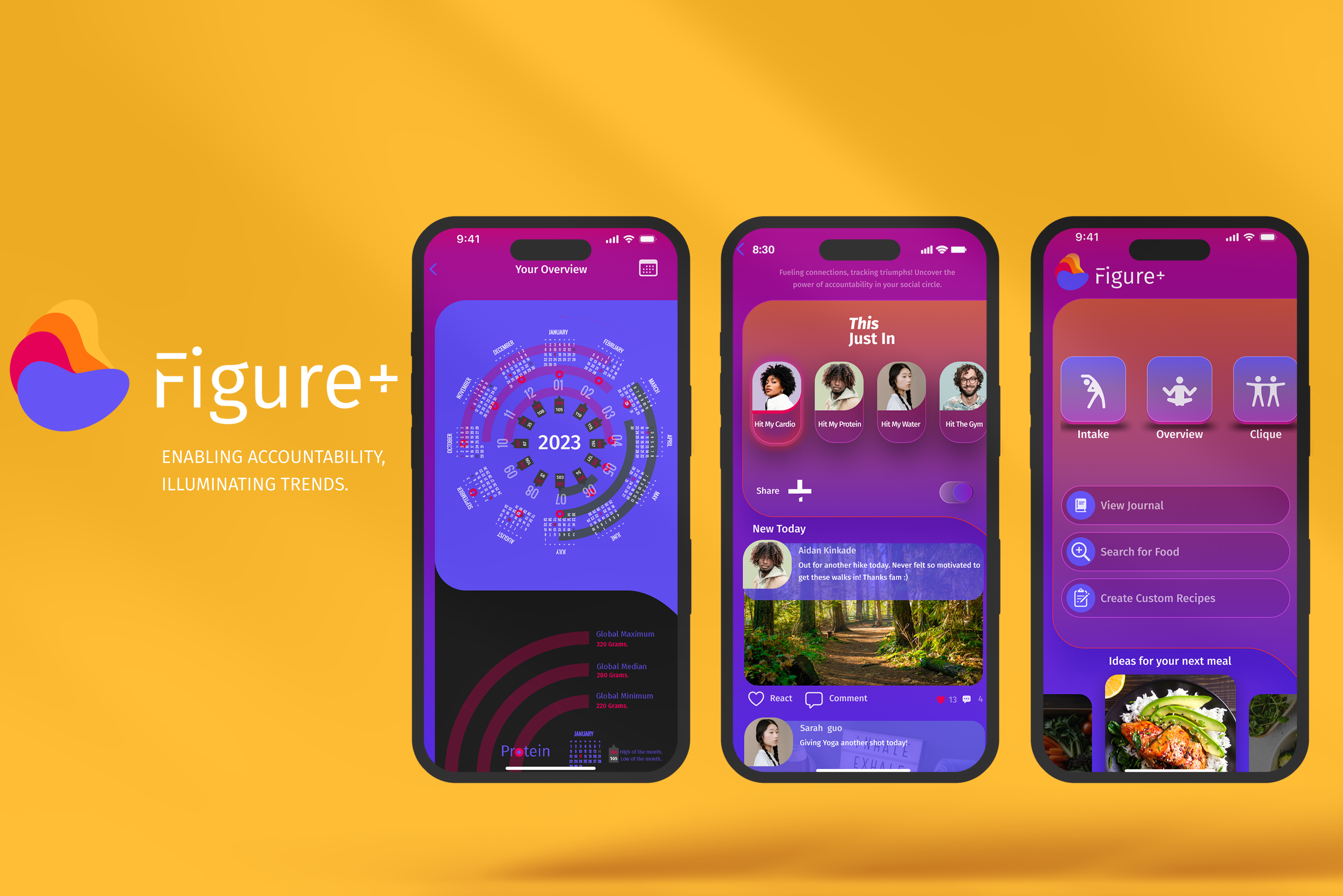 Figure Plus case-study Preview